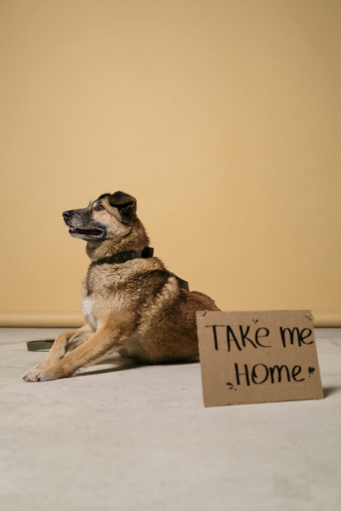 good-neighbor